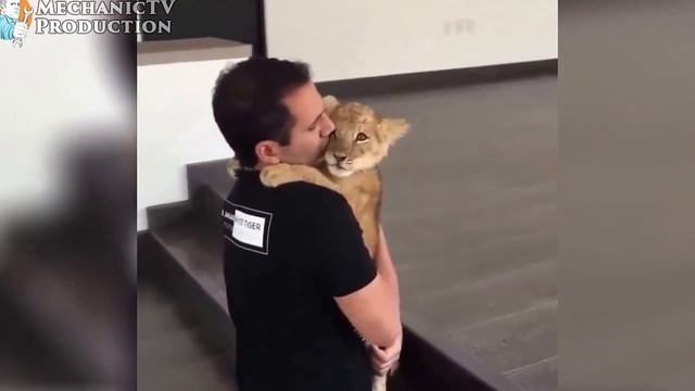 Best Epic Funny Videos of August 2015 #2 смотреть онлайн