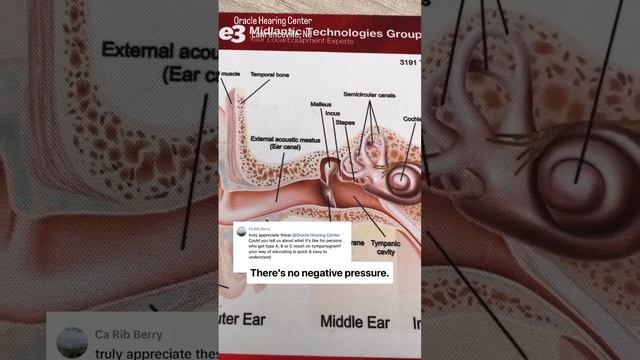 How is your eardrum similar to a JBL speaker? смотреть онлайн