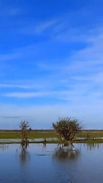 CRAZY Duck Hunting Sequence! #shorts #duckhunting #duck смотреть онлайн