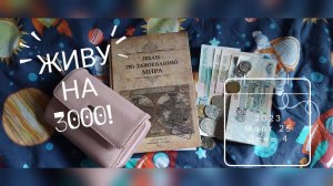ЖИВУ НА 3000 С ДВУМЯ ДЕТЬМИ день 4