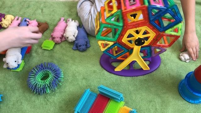 Резиновые собачки сквиш в парке развлечений аттракционов колесо обозрения и карусели мягкие собачки смотреть онлайн