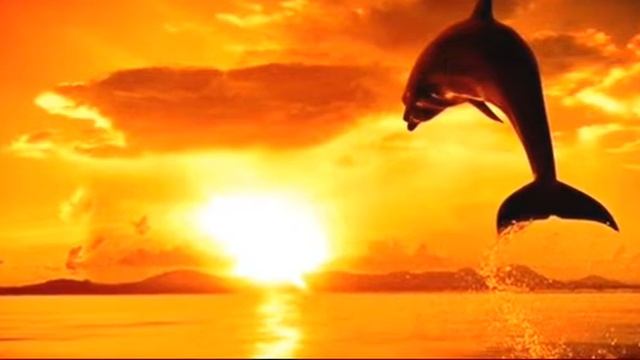 Why SUN Appears RED During Sunrise And Sunset? | Sun |Science | Knowledge | Education | Sale | WHY? смотреть онлайн