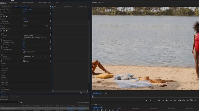 1 DAKİKADA SİNEMATİK RENK YAPIN! DEHANCER PREMIERE PRO @Dehancer смотреть онлайн
