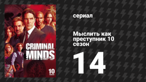 Мыслить как преступник 10 сезон 14 серия «Поклонение герою» (сериал, 2005-2020)