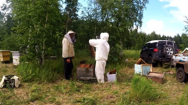 Запасаем энергию лета на зиму смотреть онлайн