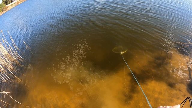 Офигительное открытие сезона 2025г. Супер рыбалка кастинговой сеткой с большим кольцом удалась!!! смотреть онлайн