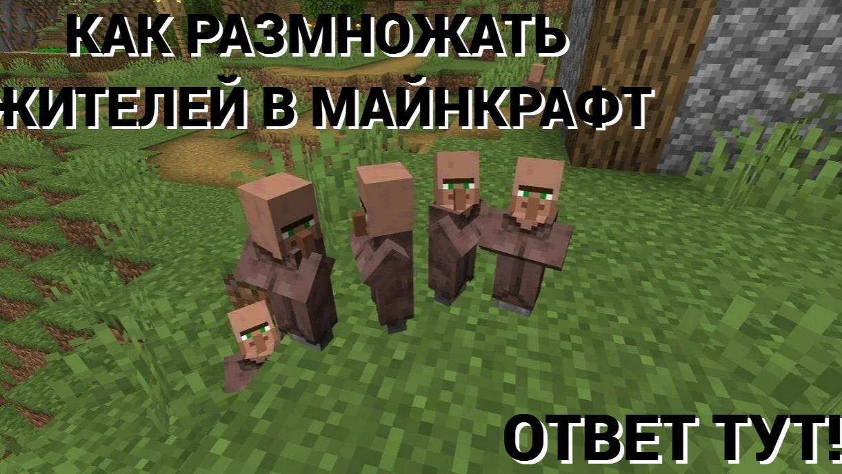 КАК РАЗМНОЖАТЬ ЖИТЕЛЕЙ В МАЙНКРАФТЕ? / ОТВЕТ ТУТ! / МАЙНКРАФТ