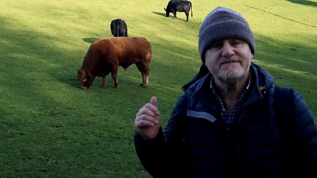 Moel y Gaer Iron Age Hillfort, Bodfari. WelshBloke Walking смотреть онлайн