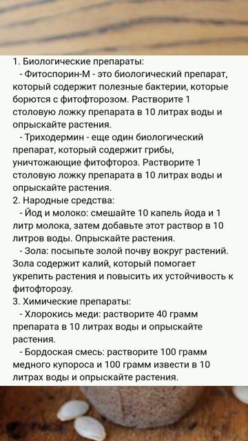 Фитофтору вывожу за 5 дней на томатах: бюджетные и безотказные средства смотреть онлайн