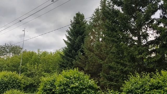 Чудесная волшебная музыка Великолепная любимая мелодия.Удивительная Музыка Ветра - Сергей Чекалин смотреть онлайн