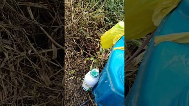 Part VI. Applying herbicides sofit 300ec смотреть онлайн