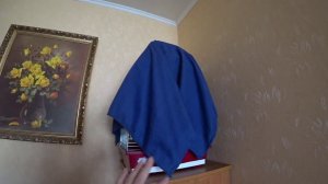 УТРО ПОПУГАЯ ТОШИ ▶️ НАДО ЛИ БУДИТЬ ПОПУГАЯ УТРОМ ▶️МИЛЫЙ ПОПУГАЙ ПРОСЫПАЕТСЯ▶️зеленый попугайчик TV