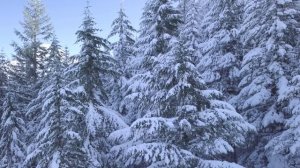 Группа Сибирь-Вьюги(Живой звук)Премьера песни!Новинка!!!!