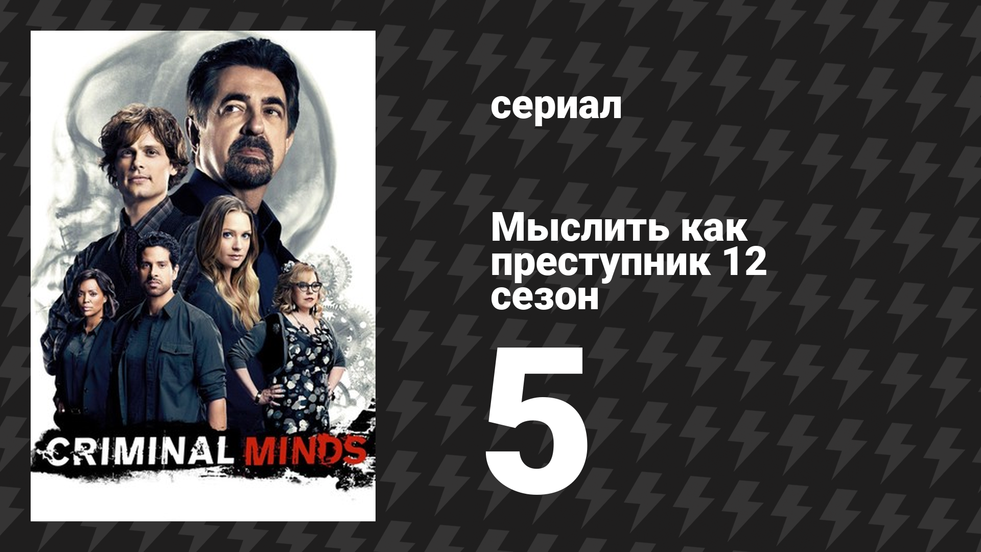 Мыслить как преступник 12 сезон 5 серия «Антитеррор» (сериал, 2005-2020) смотреть онлайн