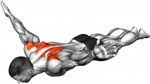 8 упражнений для Спины (коррекция осанки)