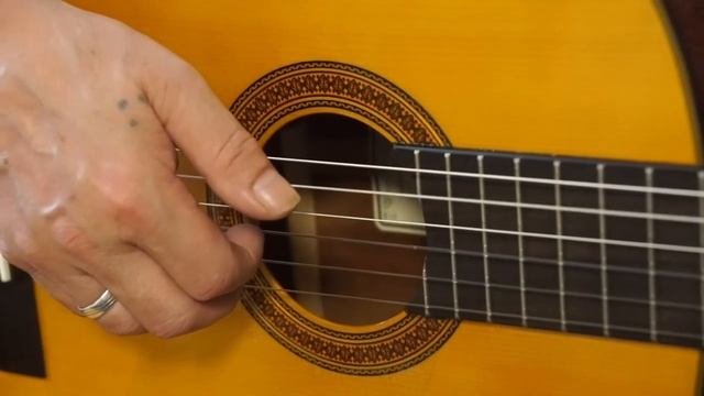 Gitarre Lernen Sag Mir Wo Die Blumen Sind