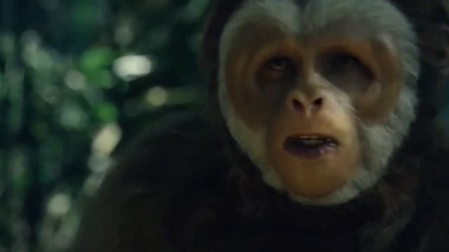 Bigfoot - Baby Shark Song Cover смотреть онлайн