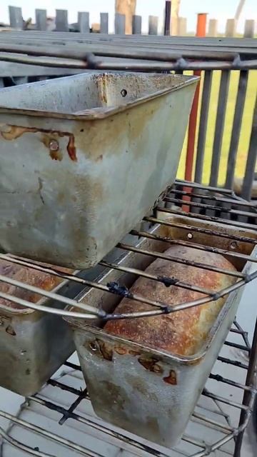 первый хлеб 🍞 в тандыре/ I Made Bread In A Tandoor #тандыр