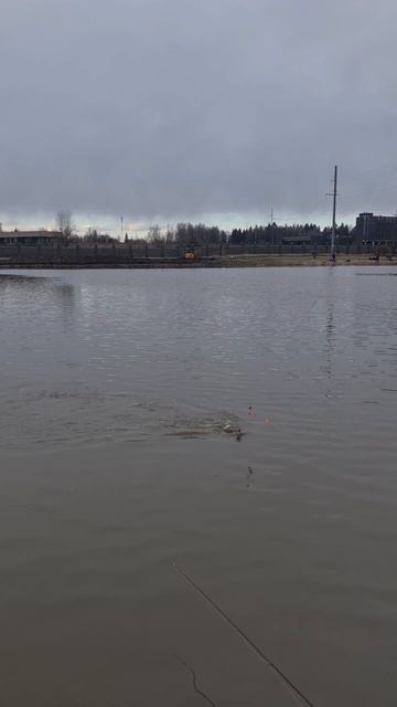 Поимка форели смотреть онлайн