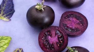 Томат Черничный щербет