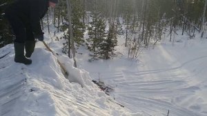 Закрываю охот- сезон 23 - 24 года по пушному зверю.