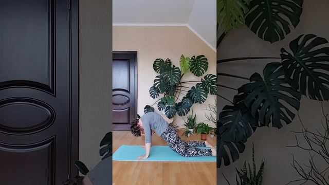 Зарядка. День шестой смотреть онлайн