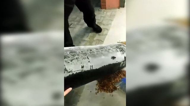 Майже 7 кг бурштину українець заховав у газовому балоні авто смотреть онлайн