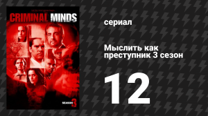 Мыслить как преступник 3 сезон 12 серия «Третья жизнь» (сериал, 2005-2020)