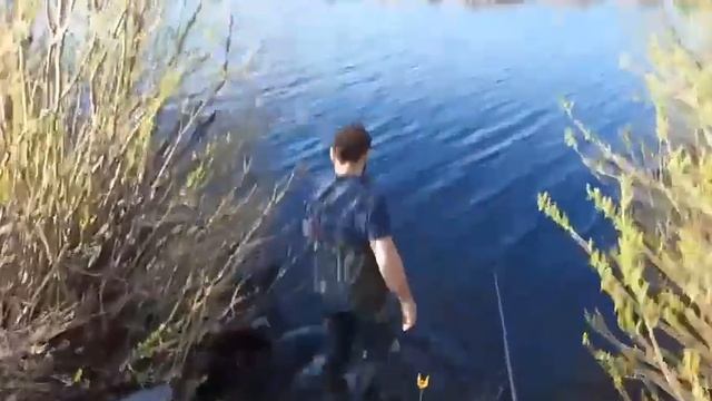 Пошла жара ловля на 🦞!