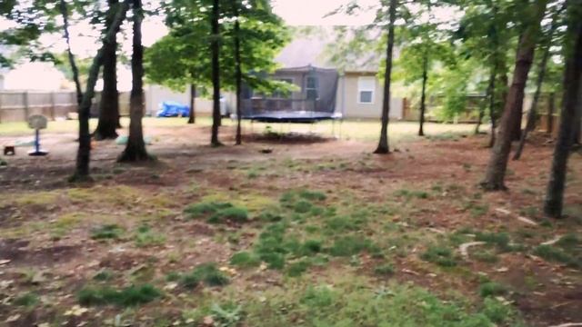 backyard Задний двор смотреть онлайн