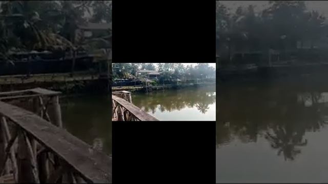 Удивительная Индия!🪷♥️🪷 смотреть онлайн