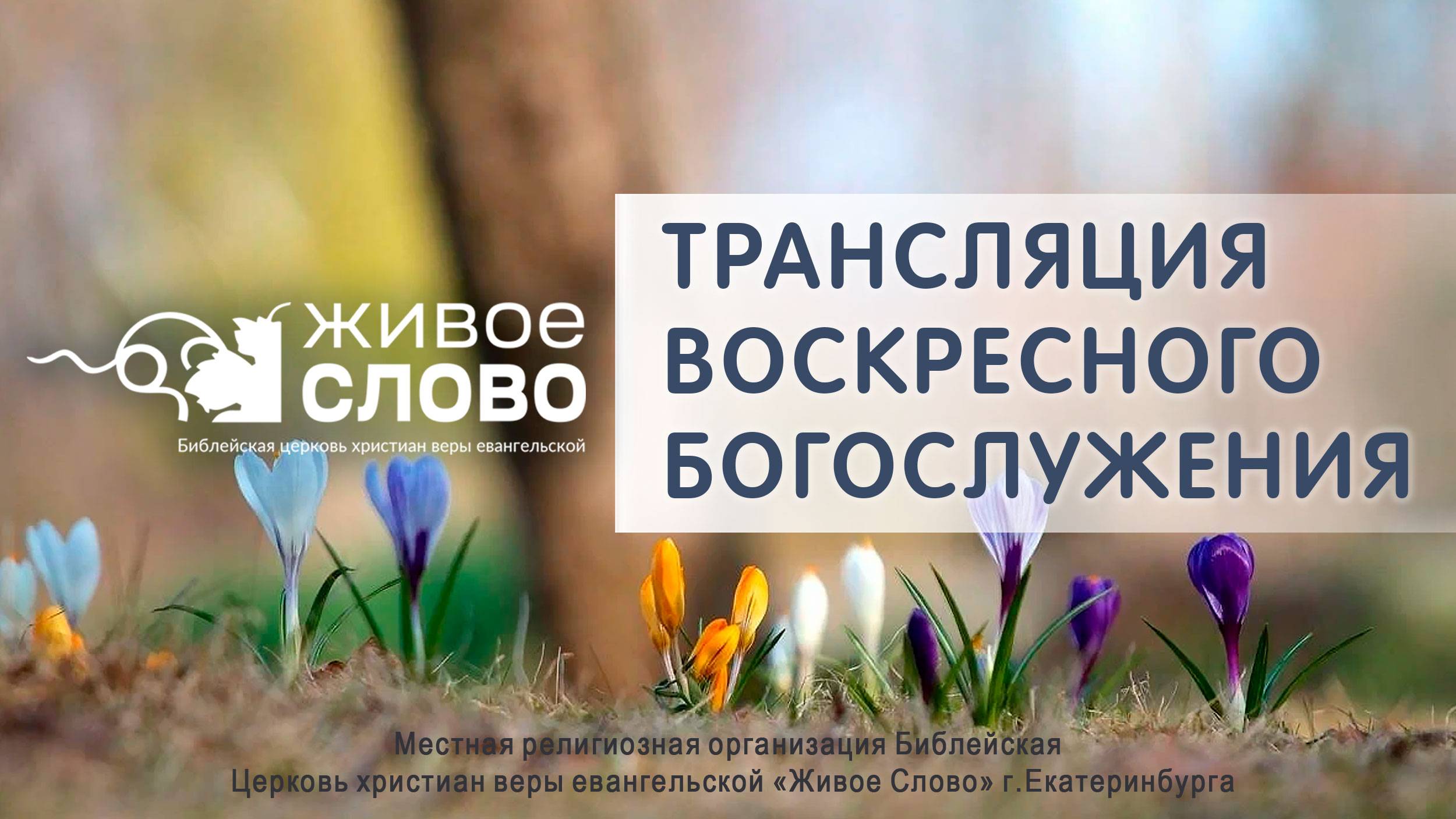 6 апреля 2025 в 11:00 (ЕКБ) / Воскресное #богослужение / Церковь «Живое Слово» смотреть онлайн