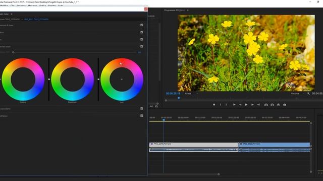 Lumetri Color di Adobe Premiere Pro CC смотреть онлайн