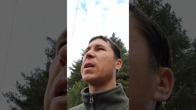 ПОСЛЕДСТВИЯ ЛЕЧЕНИЯ МОЛИТВАМИ!?МОЛИТВА ОТ БОЛЕЗНЕЙ. Александр Пичуев смотреть онлайн