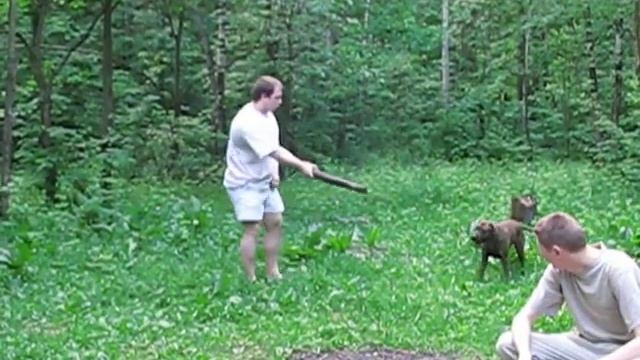 яйки чешу смотреть онлайн