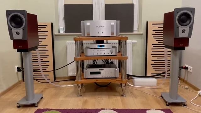 Audio Research CD6, Plinius SA 103, Dynaudio C1, Nordost Frey.