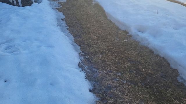 Весна на даче Солнце светит Птицы поют смотреть онлайн