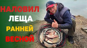 наловил леща ранней весной