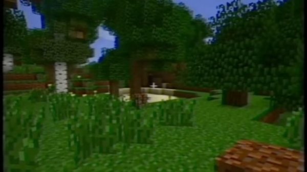 Anti-Piracy [MinecraftVHS Horror]