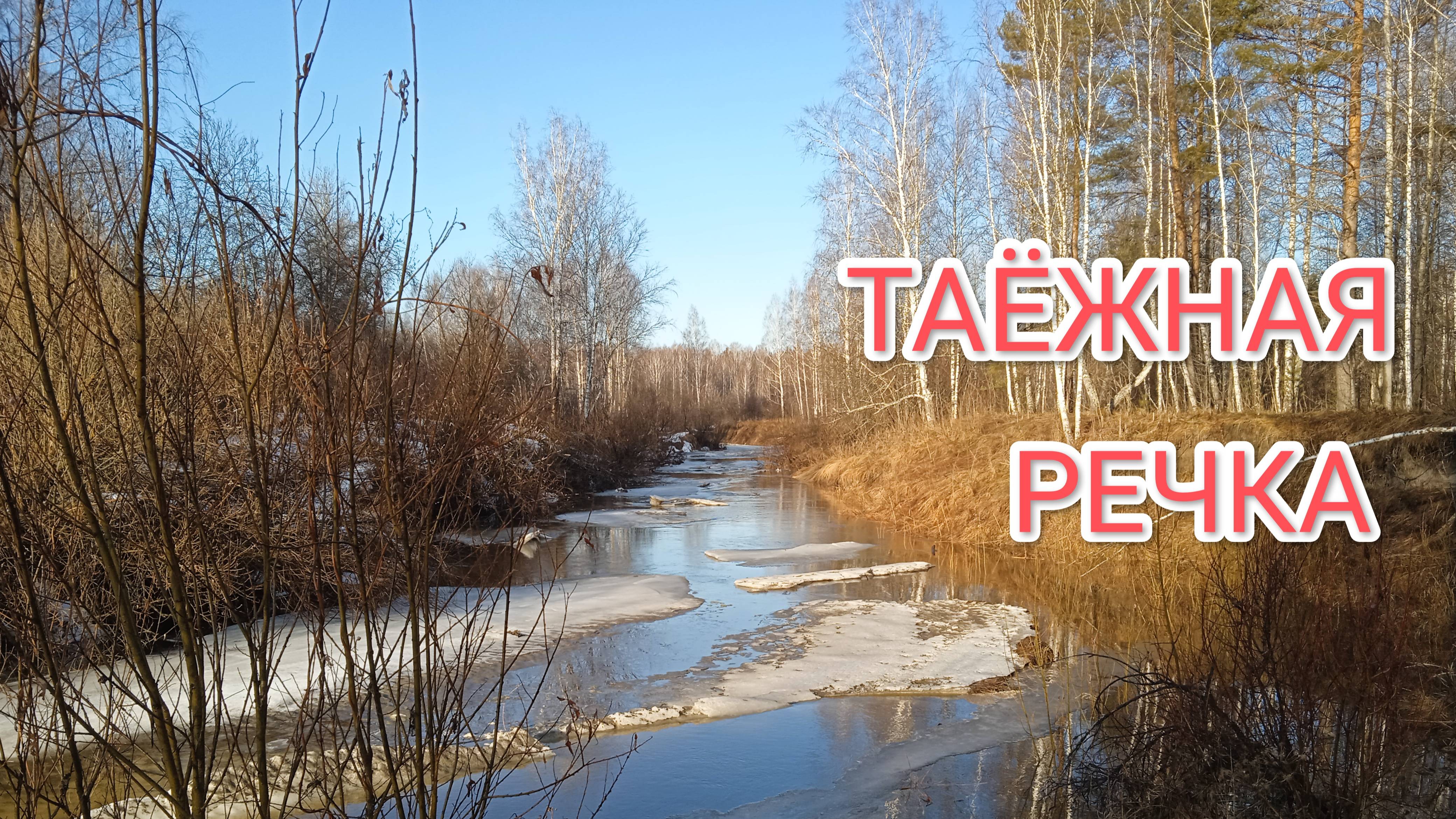 Таежная Сибирская речка просыпается после долгой зимы смотреть онлайн