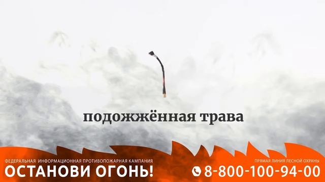 Противопожарная кампания «Останови огонь!» смотреть онлайн