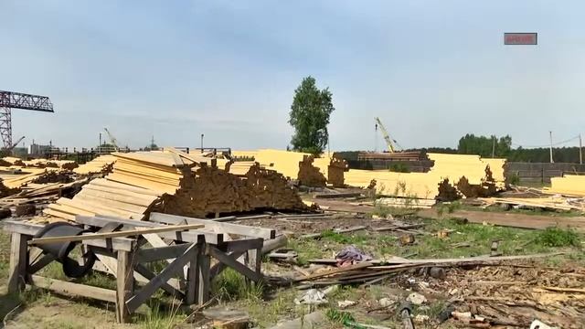 НЕЛЕГАЛЫ РАБОТАЮТ НА ЛЕСОПИЛКЕ смотреть онлайн