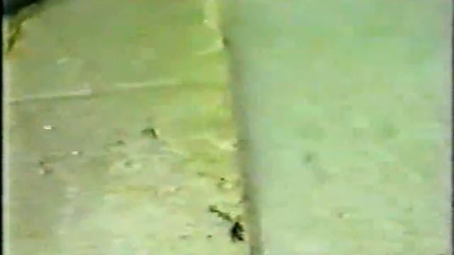 Strange Physics of Roy Thornson смотреть онлайн