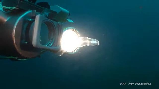 Seffaf Cam Balik смотреть онлайн