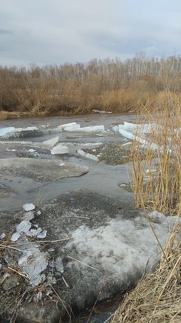 Ледяной затор смотреть онлайн