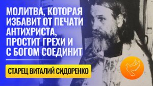 Молитва, которая избавит от печати антихриста, простит грехи и с Богом соединит, и не только!