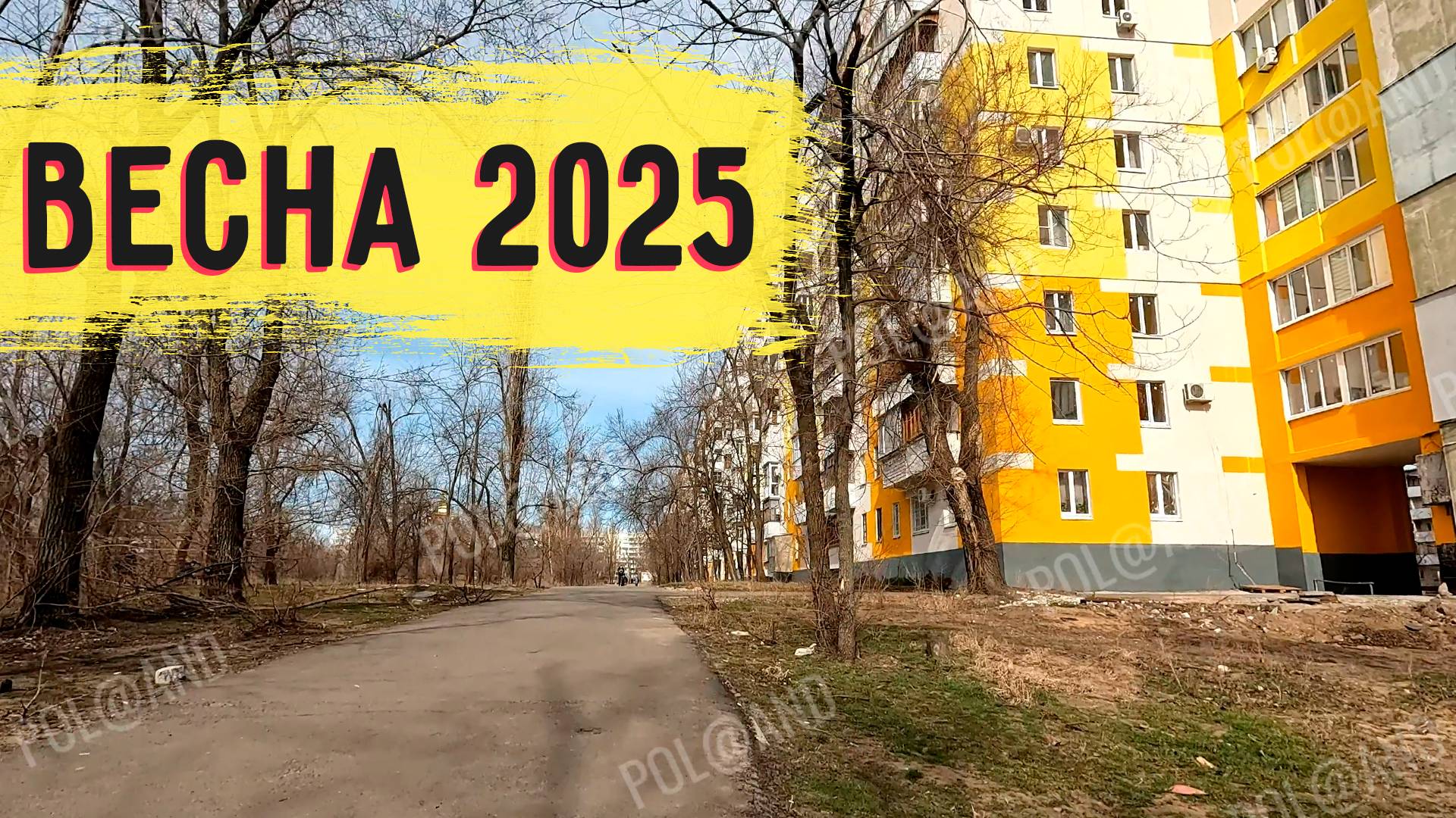 СЕВЕРОДОНЕЦК ВЕСНА 2025 #severodonetsk #donbass
