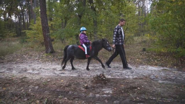 В гостях у лошадок! Дина и полезные видео для детей смотреть онлайн