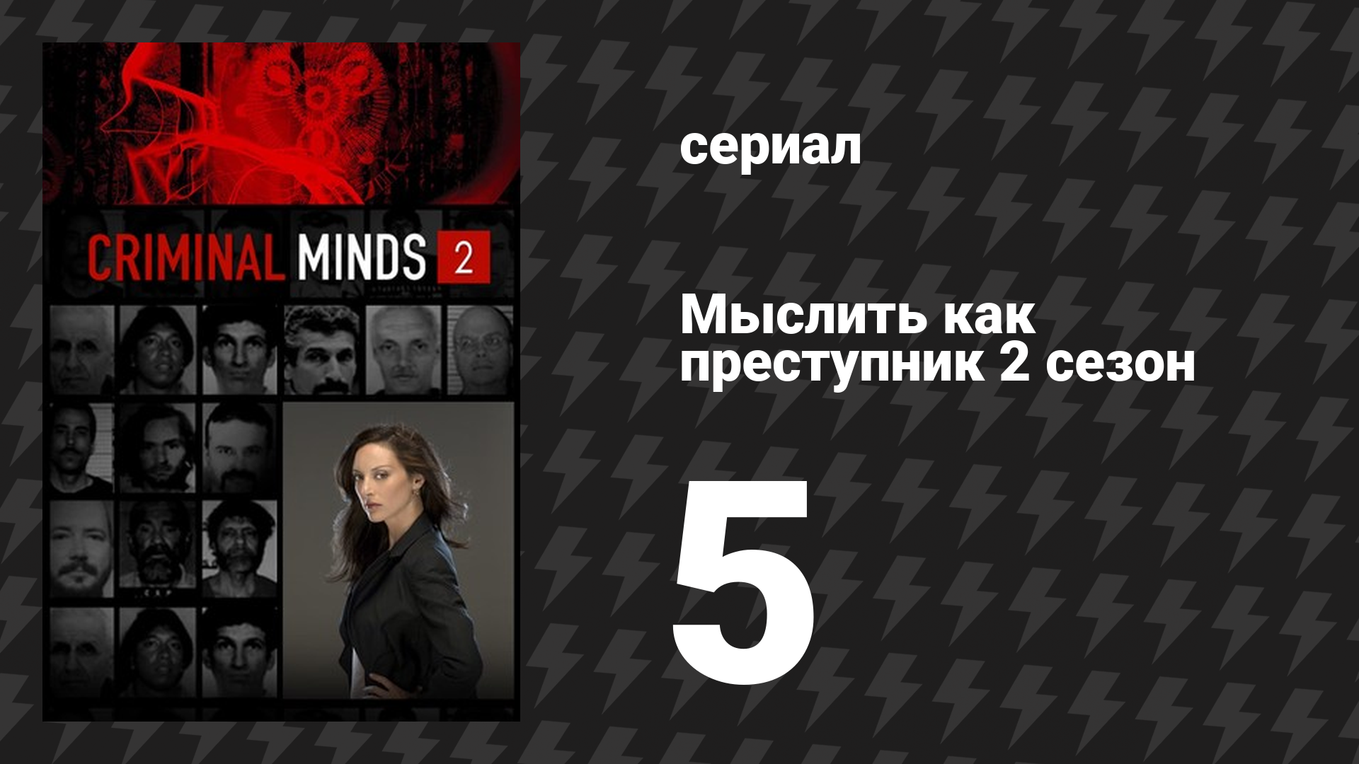 Мыслить как преступник 2 сезон 5 серия «Последствия» (сериал, 2005-2020)