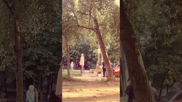 Торговая лавка 7 смотреть онлайн